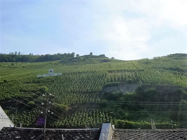 Cella